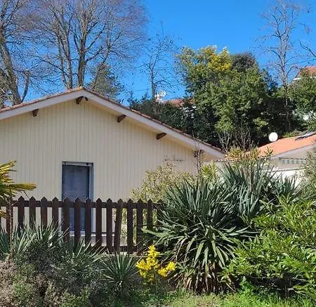 Le Chalet * Arcachon
